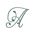 Vine 2
